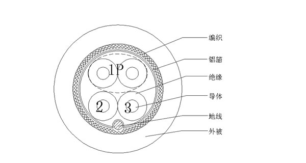 1P+2C+AEB(1)