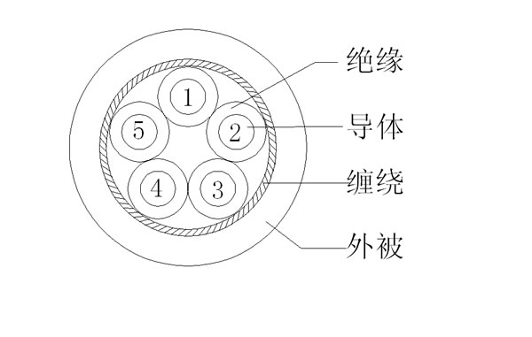 5C+S