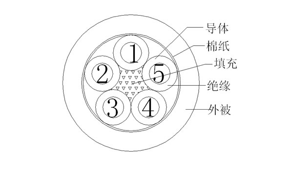 5C++޼